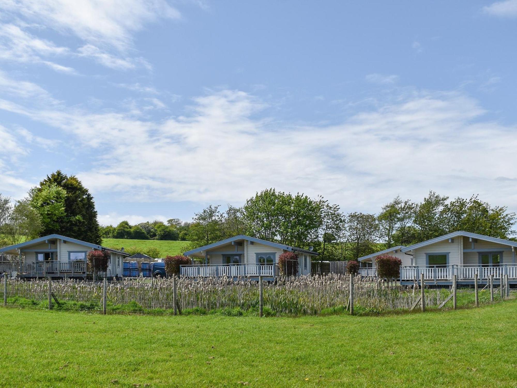 Pine Lodge - Uk30007 Lindal in Furness エクステリア 写真