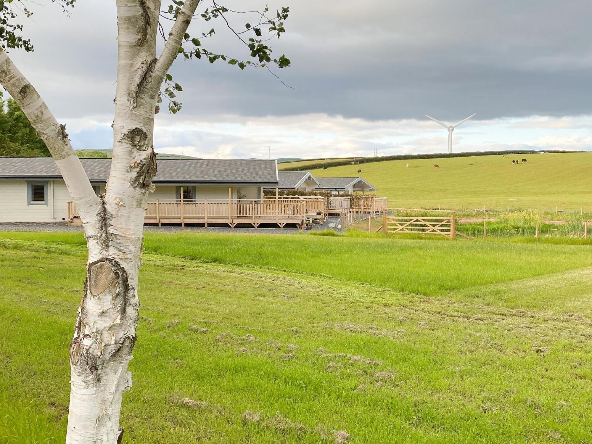 Pine Lodge - Uk30007 Lindal in Furness エクステリア 写真