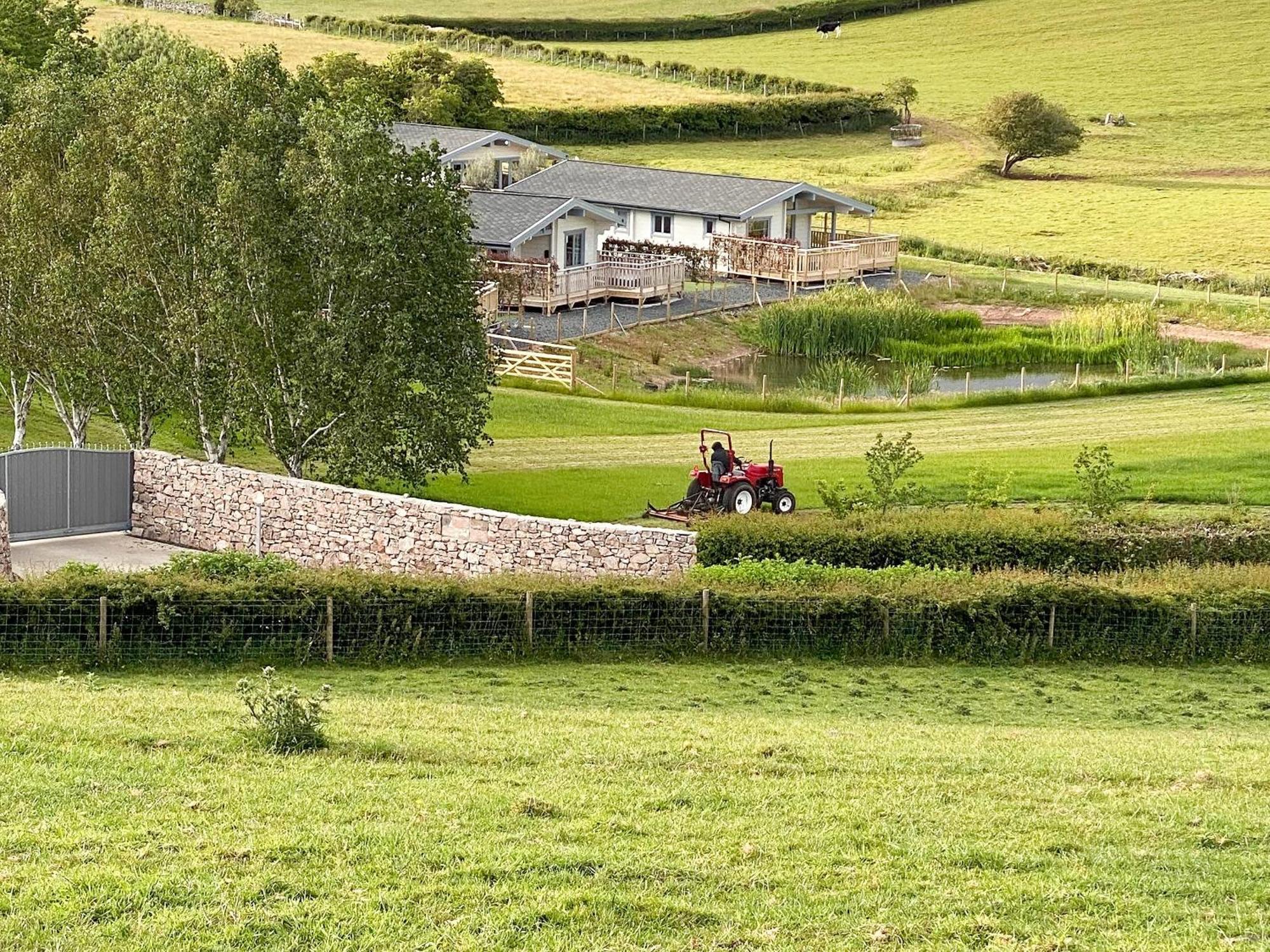 Pine Lodge - Uk30007 Lindal in Furness エクステリア 写真